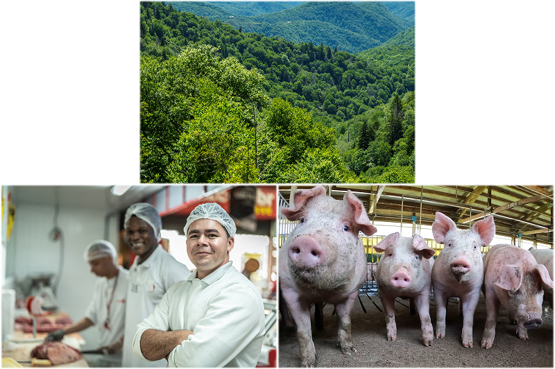 サステナブルな社会の実現への貢献イメージ