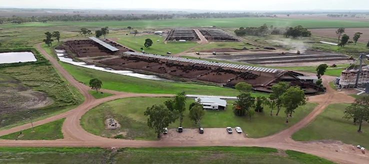 Broad Water Downs Pty Ltd