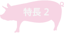 特徴2