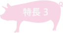 特徴3