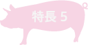 特徴5