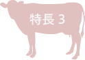 特徴3