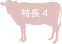 特徴4