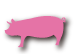 Pork